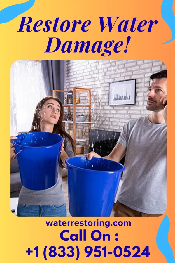 water restoration Quality Mitigation Professionals Masury